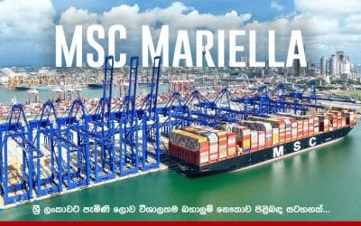 MSC Mariella Colombo Port Visit: Sri Lanka Welcomes Mega Container Ship